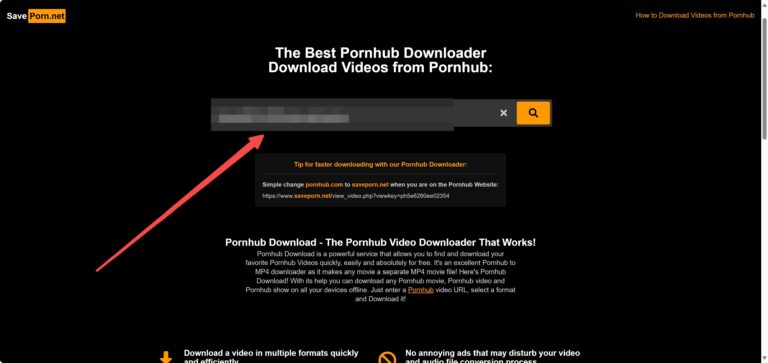 Phub downloader